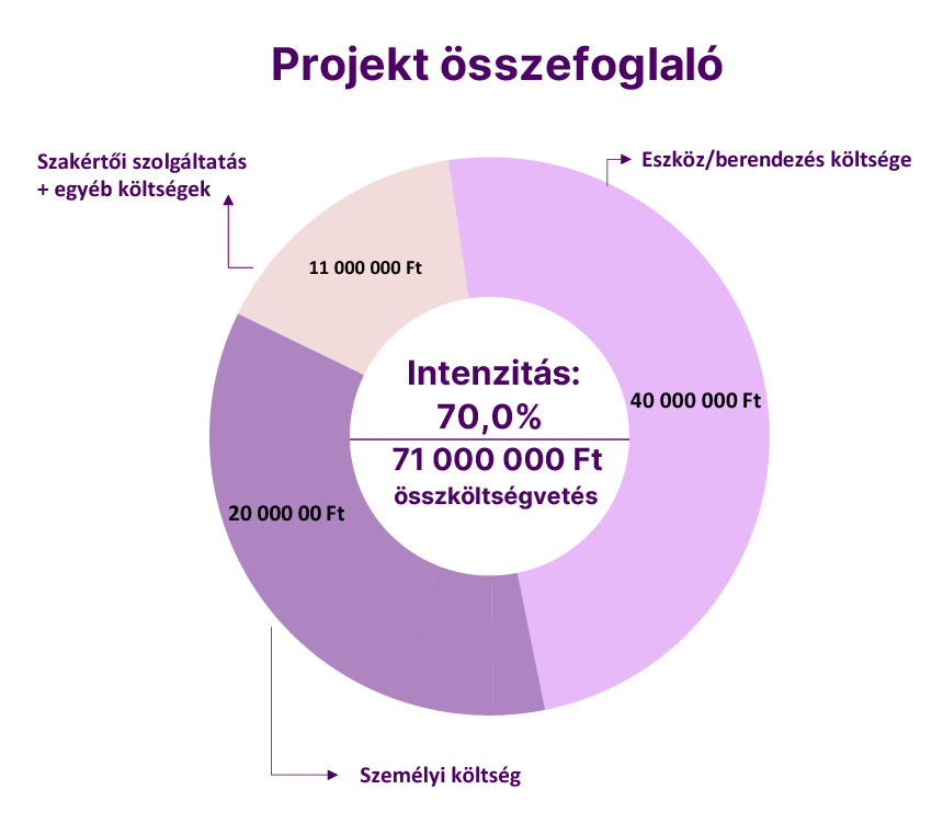Ginop Ready üzleti modell